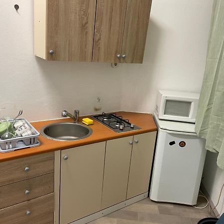 לובליאנה Ice Apartment מראה חיצוני תמונה